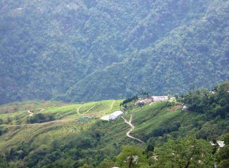 Central Nirvana Darjeeling  Exterior photo